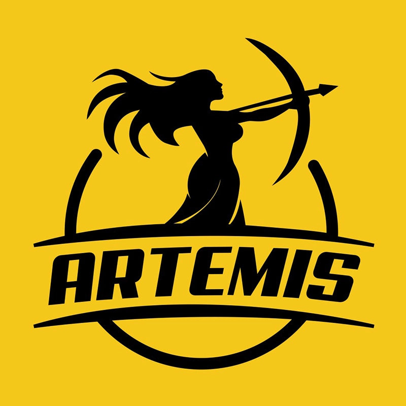 Load image into Gallery viewer, Artemis All-in-One Solar Kit

